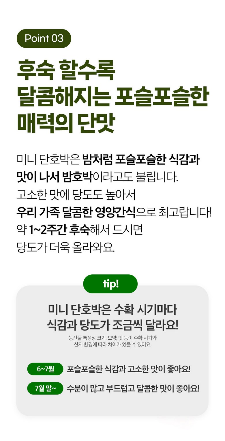 [2026 보우짱] 포슬포슬 제주 햇 미니밤호박 가정용 2kg 상세컷
