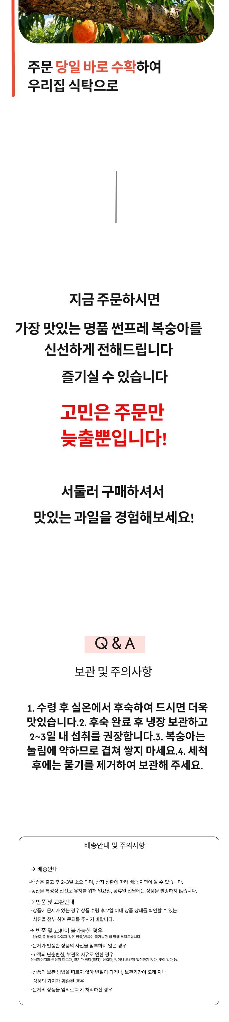 [노지천도] 신선함이 살아있는 새콤달콤 썬프레 복숭아 (중대과) 5kg 상세컷