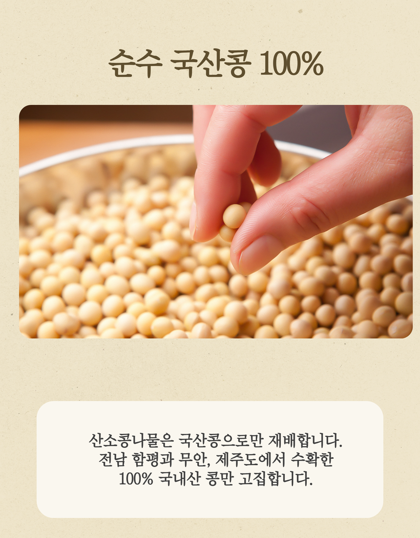 [유기농 무농약] 국내산 초신선 콩나물 1kg 상세컷